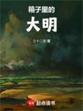 箱子里的大明八零电子书