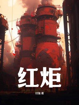 红炬科技有限公司