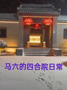 马六车怎么样?