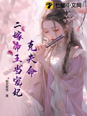 二嫁全文