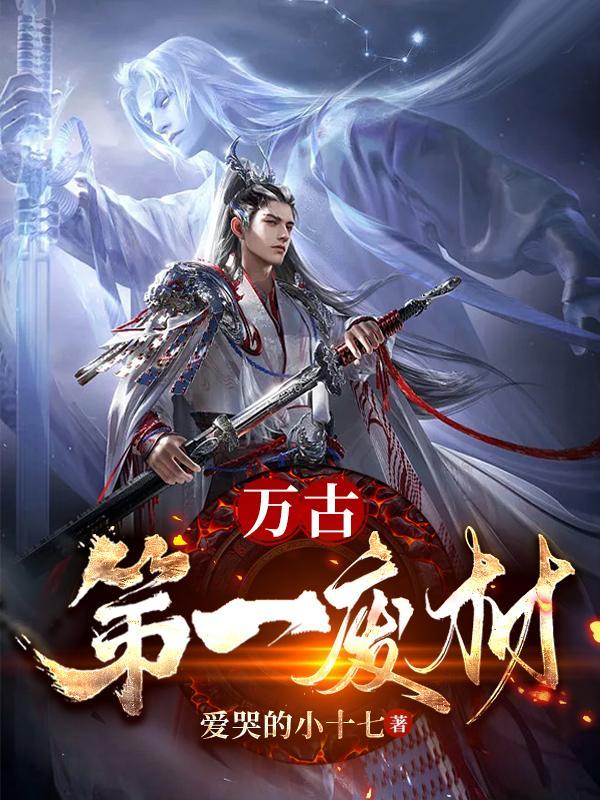 轮回塔陆仁完结版目录
